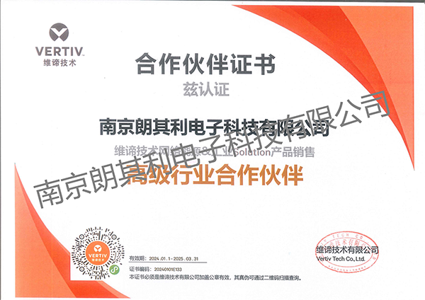 2024年维谛合作伙伴